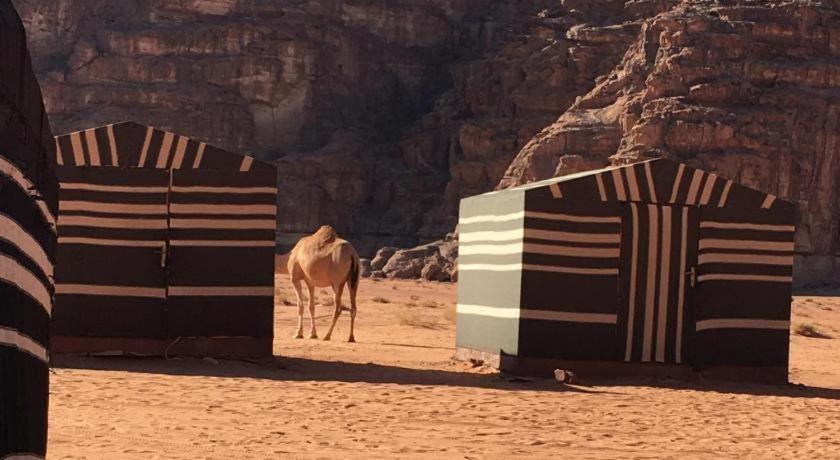 Wadi Rum Desert Heart Camp Luaran gambar