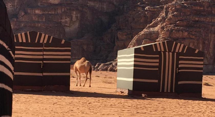 Wadi Rum Desert Heart Camp Hotel Luaran gambar