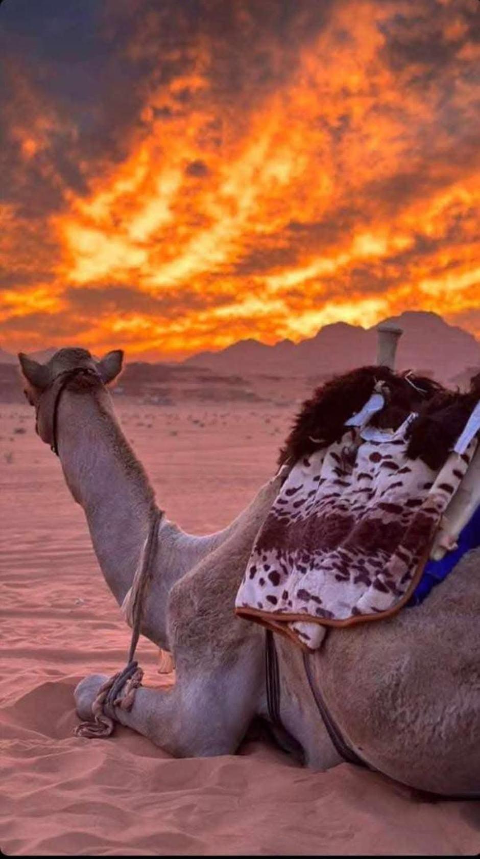 Wadi Rum Desert Heart Camp Luaran gambar